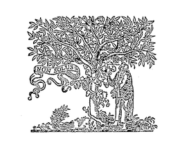 NON SOLUS trademark
