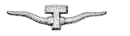 T trademark