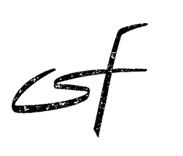 CSF trademark