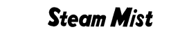 STEAM MIST trademark
