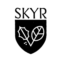 SKYR trademark