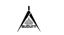 AUBURN trademark