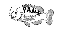 PAN-X JUMBO HYBRIDS BOULDER SPRING FARM LISBON, OHIO trademark