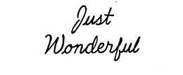 JUST WONDERFUL trademark