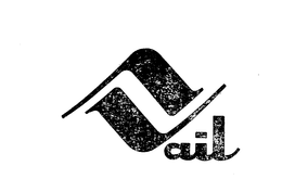 VAIL trademark