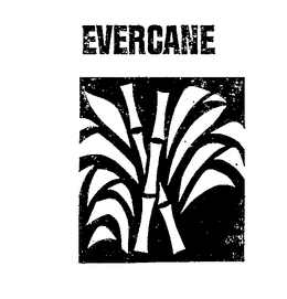 EVERCANE trademark