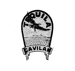 TEQUILA GAVILAN trademark