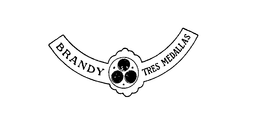 BRANDY TRES MEDALLAS trademark