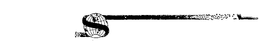S trademark