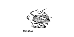 STINGRAY trademark