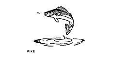PIKE trademark