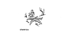 STARFISH trademark