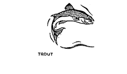 TROUT trademark
