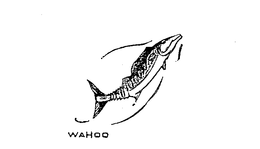 WAHOO trademark