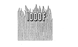 1000F trademark