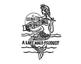 A LAKE MAID PRODUCT GUARANTEED 99% SALT FREE NO RESIDUE trademark
