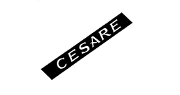CESARE trademark