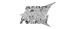 SPRAY POLISH trademark
