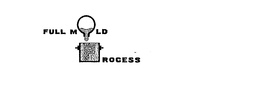 FULL MOLD PROCESS trademark