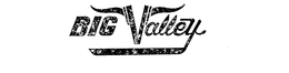 BIG VALLEY trademark