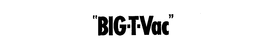 "BIG-T-VAC" trademark