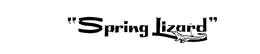 "SPRING LIZARD" trademark