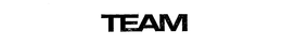 TEAM trademark