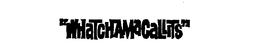 "WHATCHAMACALLITS" trademark