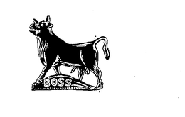 BOSS trademark