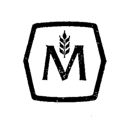 M trademark