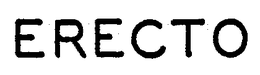 ERECTO trademark