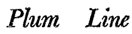 PLUM LINE trademark