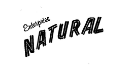 ENTERPRISE NATURAL trademark