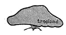 TREELAND trademark