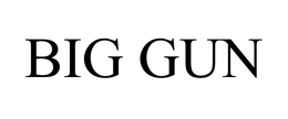 BIG GUN trademark