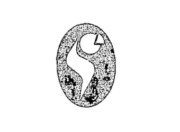 S trademark
