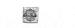 DAVID DOUGLAS trademark