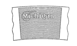 MICHIGAN trademark