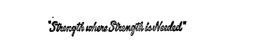 "STRENGTH WHERE STRENGTH IS NEEDED" trademark