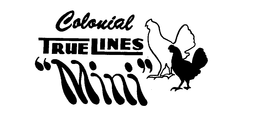 COLONIAL TRUE LINES "MINI" trademark