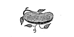 THE PURPLE PICKLE trademark