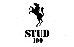 STUD 100 trademark