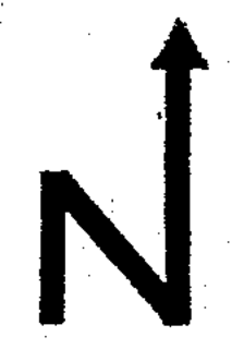 N trademark