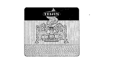 TEIJIN trademark