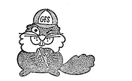 GFS trademark