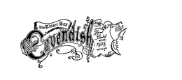 THE TINDER BOX CAVENDISH HAND BLENDED SINCE 1928 NET WEIGHT trademark