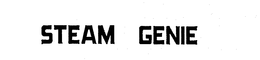 STEAM GENIE trademark