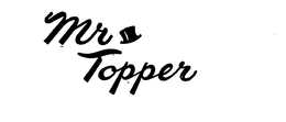 MR TOPPER trademark
