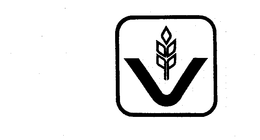 V trademark