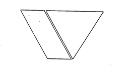 V trademark
